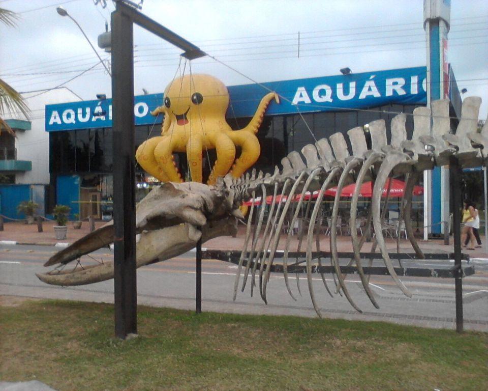 Apartamento Estudio Na Pitangueiras Guaruja Exterior photo